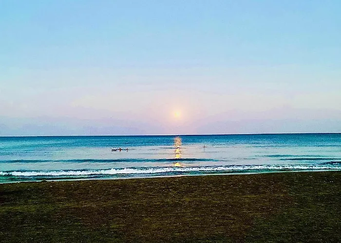 The Penthouse 401 Daire